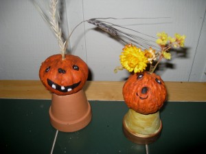 Mini pumpkins 2