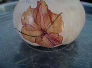 Pressed flower on gourd 2