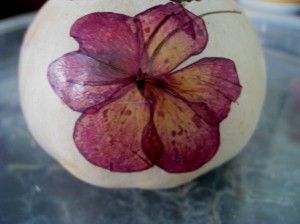 Pressed flower on gourd