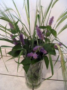 Anise hyssop and barley
